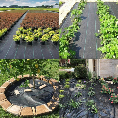 Groweco instalación en parterre mostrando protección contra malezas