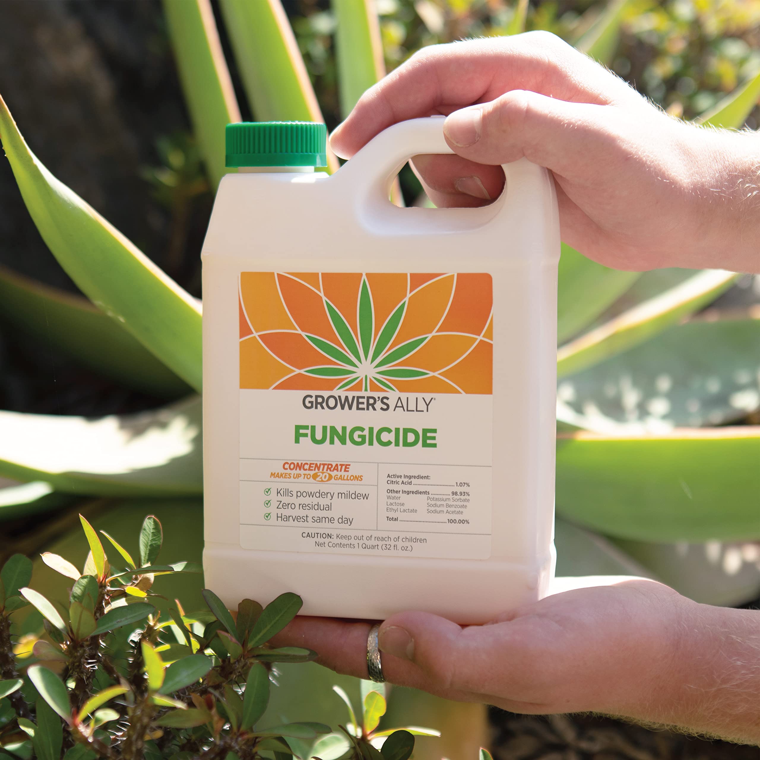 Grower's Ally usado en invernadero protegiendo plantas sensibles