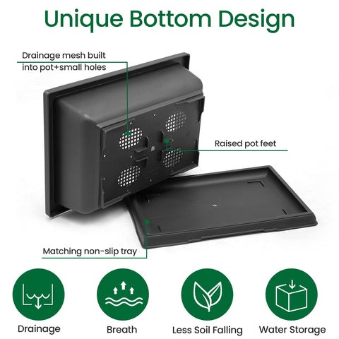 GROWNEER bandeja de humedad con maceta encima para recoger agua y mantener limpieza