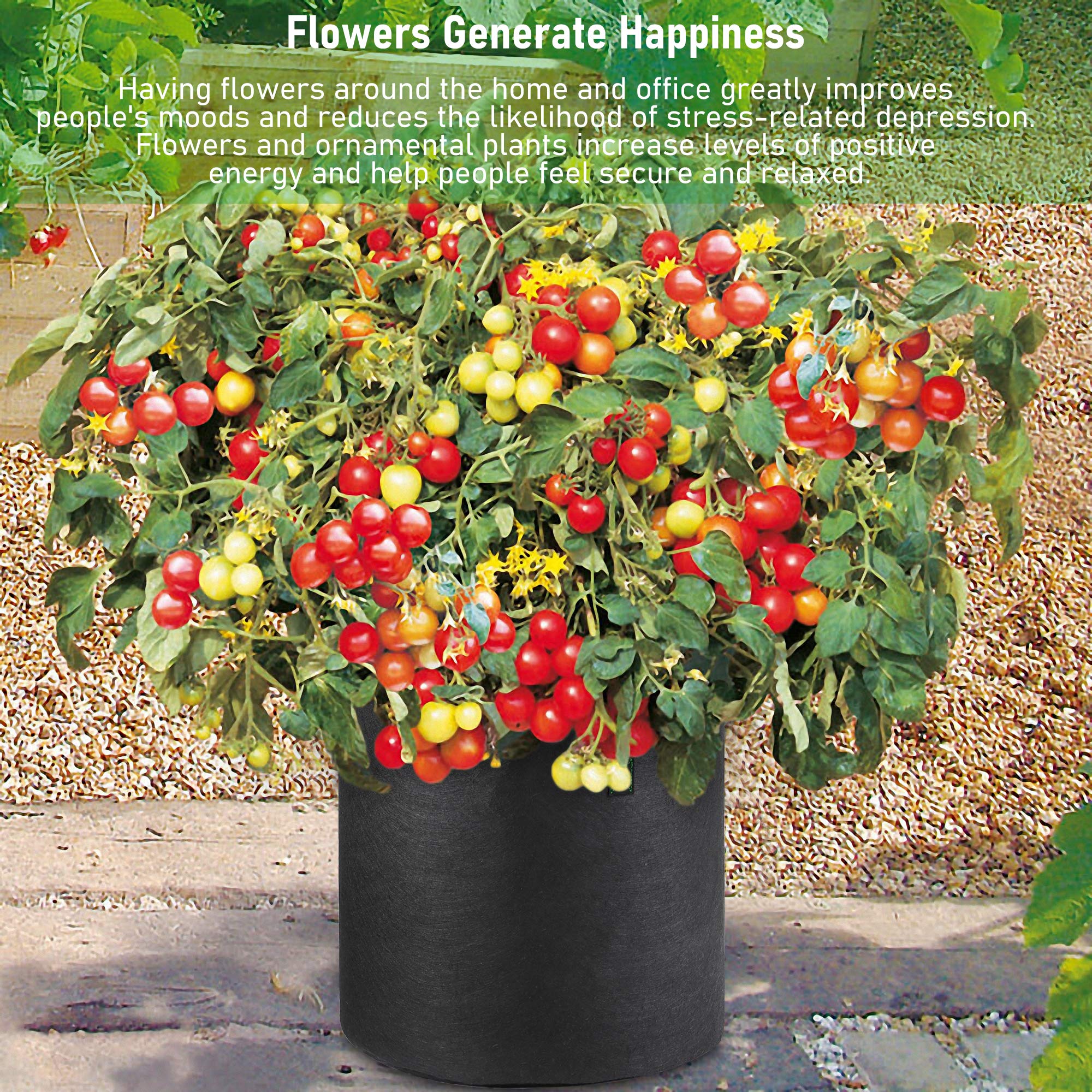 Growpropel varias bolsas en huerto exterior optimizan espacio y rendimiento