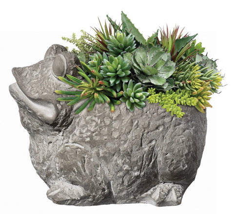 GROWSCAPE maceta en escritorio con suculenta, añade encanto decorativo
