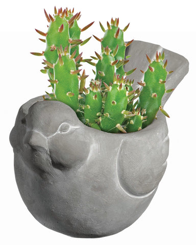 GROWSCAPE maceta con suculenta en escritorio para decoración funcional