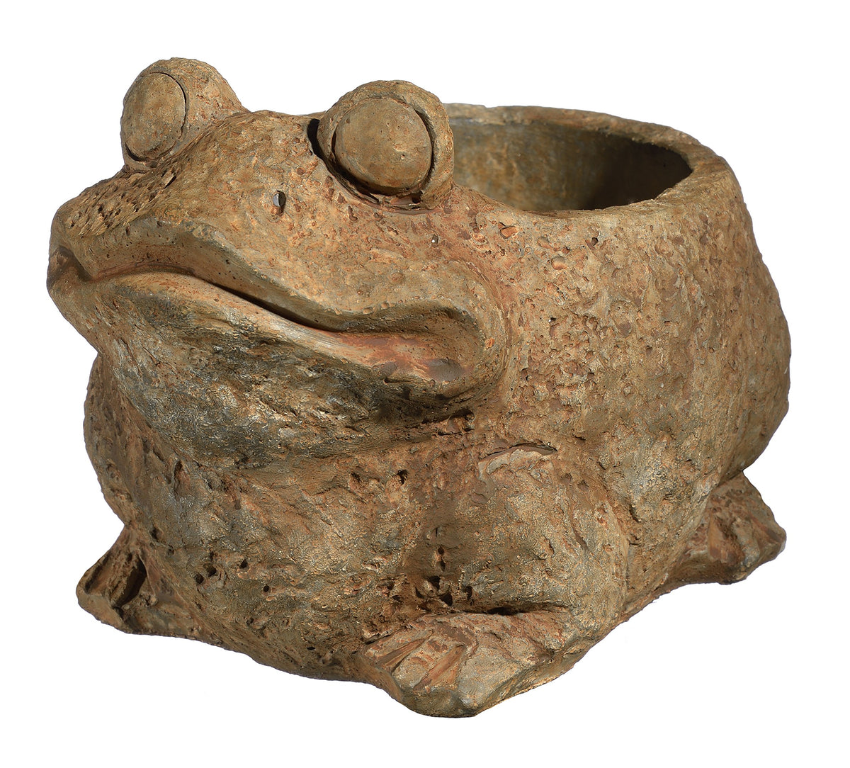 GROWSCAPE maceta rana frontal muestra diseño robusto y encanto decorativo