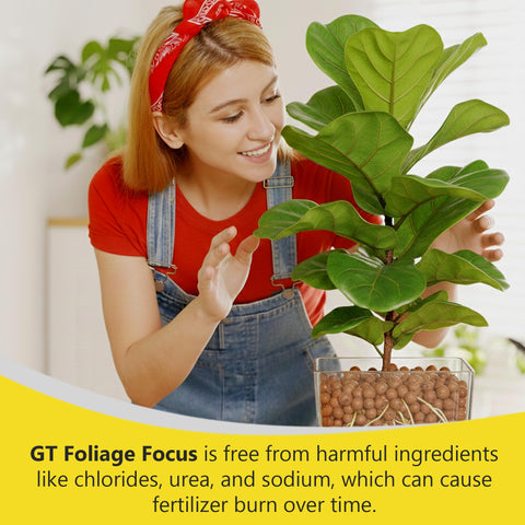 Growth Technology GT en ambiente interior con varias plantas para follaje vibrante