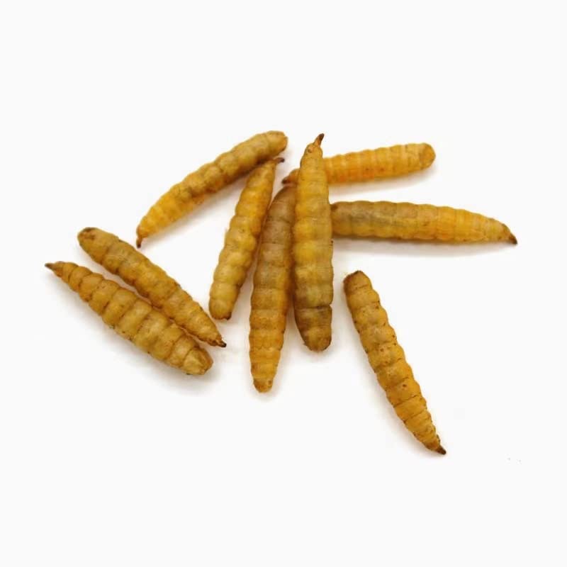 GRUBSFARM etiqueta nutricional mostrando proteínas y calcio altos