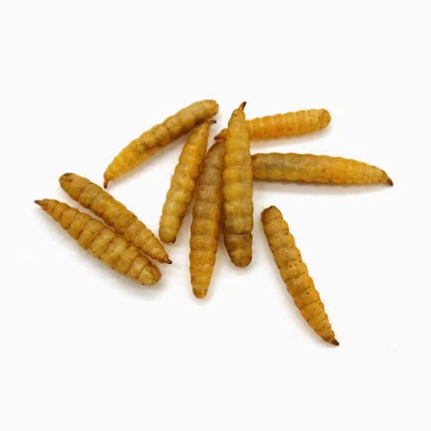 GRUBSFARM etiqueta nutricional mostrando proteínas y calcio altos