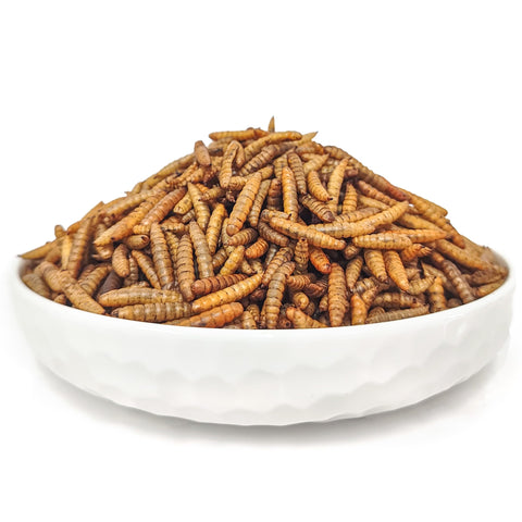GRUBSFARM HARTOMPET ingredientes y proceso sostenible mostrando reciclaje