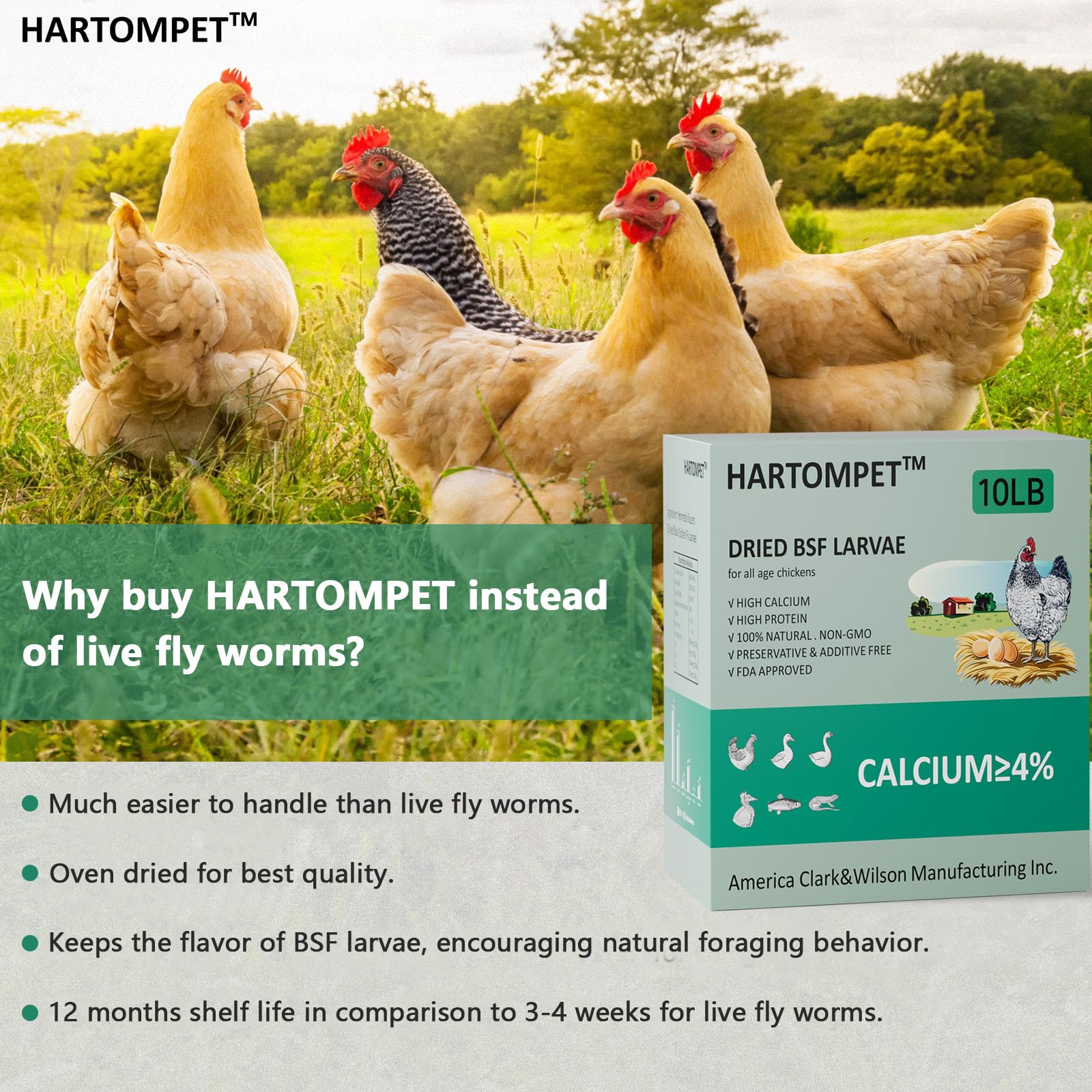GRUBSFARM HARTOMPET detalle de larvas que muestra textura nutritiva