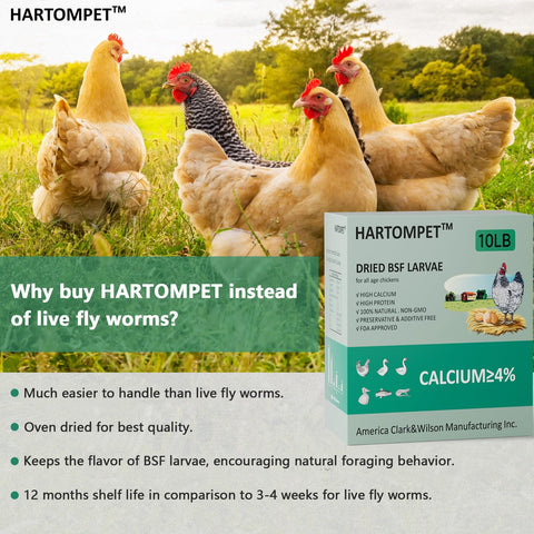 GRUBSFARM HARTOMPET detalle de larvas que muestra textura nutritiva