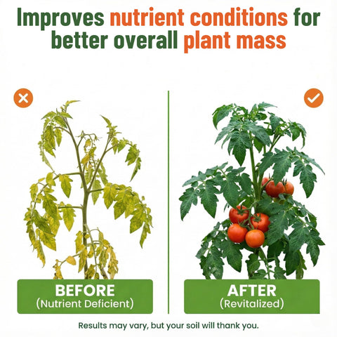 Pulverización foliar con GS Plant Foods para respuesta rápida en hojas