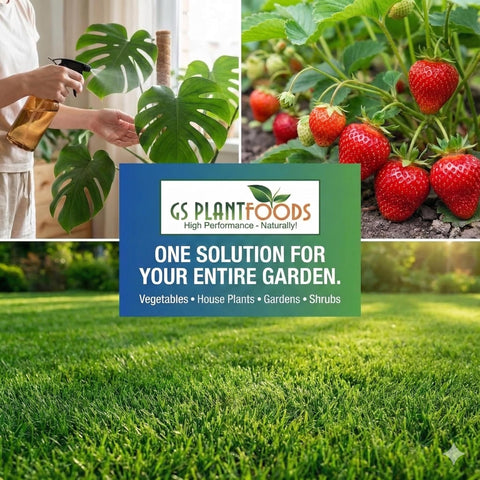GS Plant Foods en uso pulverizando hojas para nutrición foliar y vigor