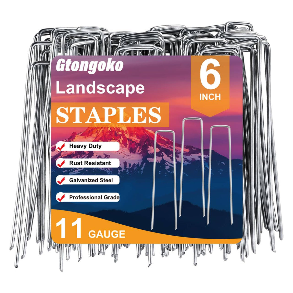 Gtongoko caja frontal con 200 grapas galvanizadas para proyectos grandes