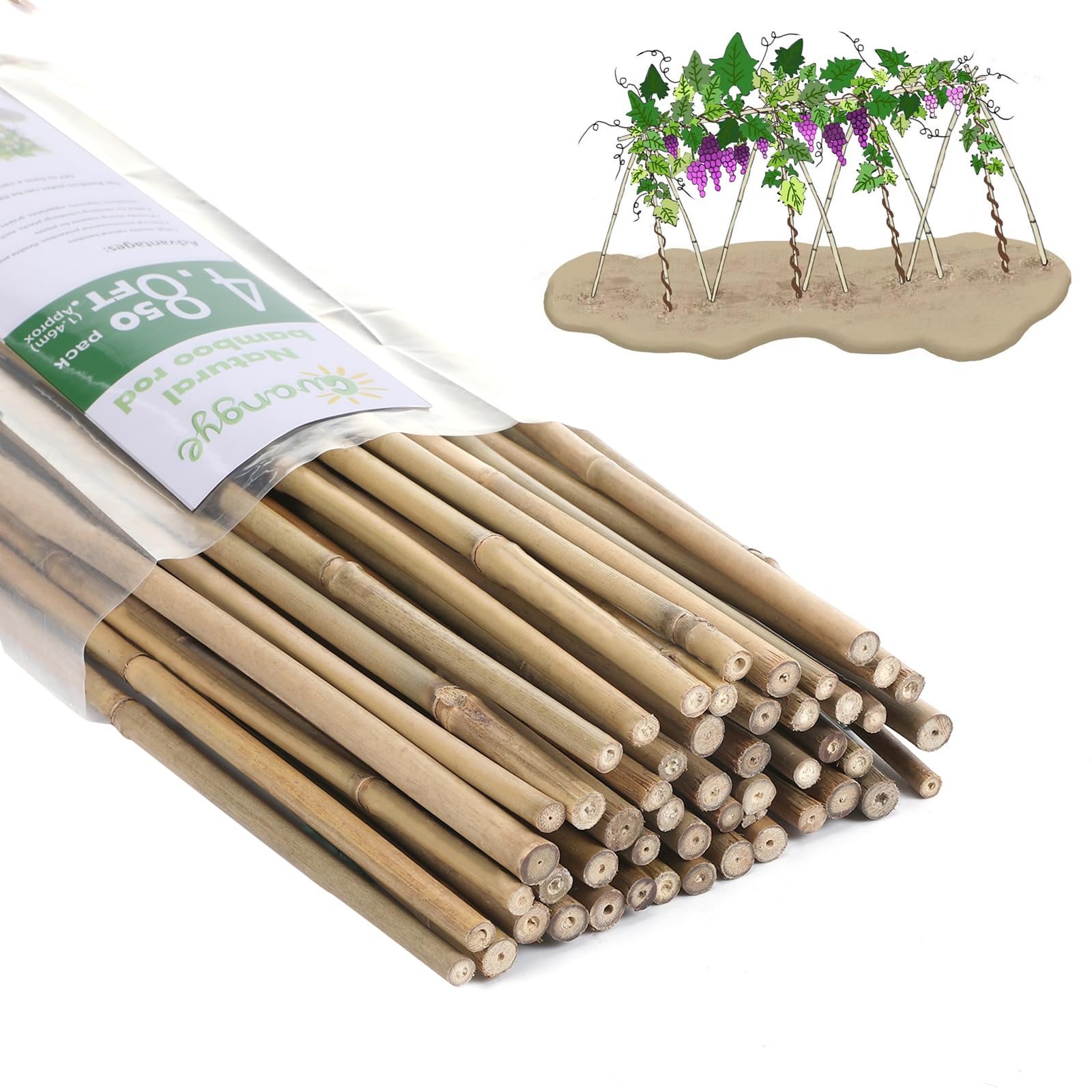 GUANGYE vista frontal de estacas de bambú, soporte resistente para plantas