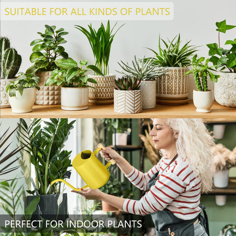 GUKJOB comparación de escala con planta para visualizar tamaño y capacidad