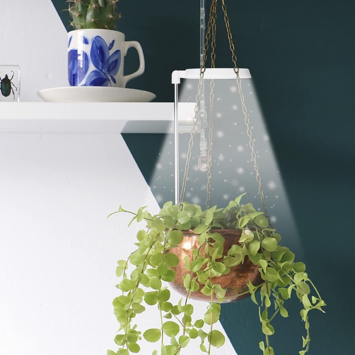 GYTF lámpara iluminando suculentas en maceta, mejora salud vegetal interior