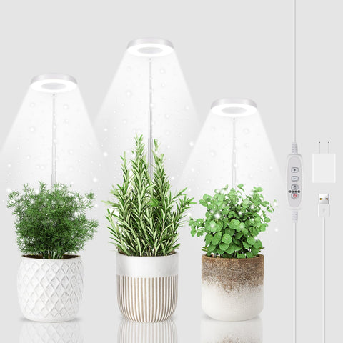 GYTF vista frontal del pack con tres aros iluminando, optimiza crecimiento