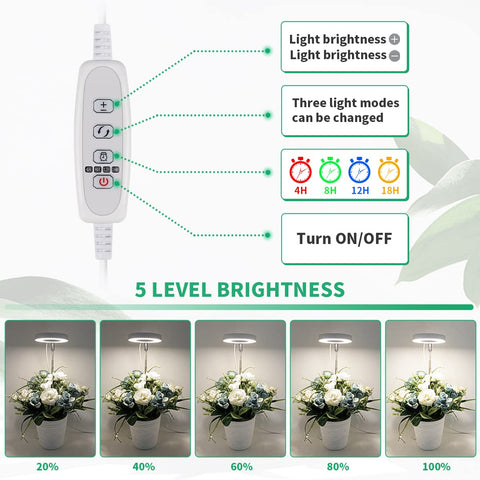 GYTF lámpara Halo iluminando suculentas en maceta para crecimiento controlado