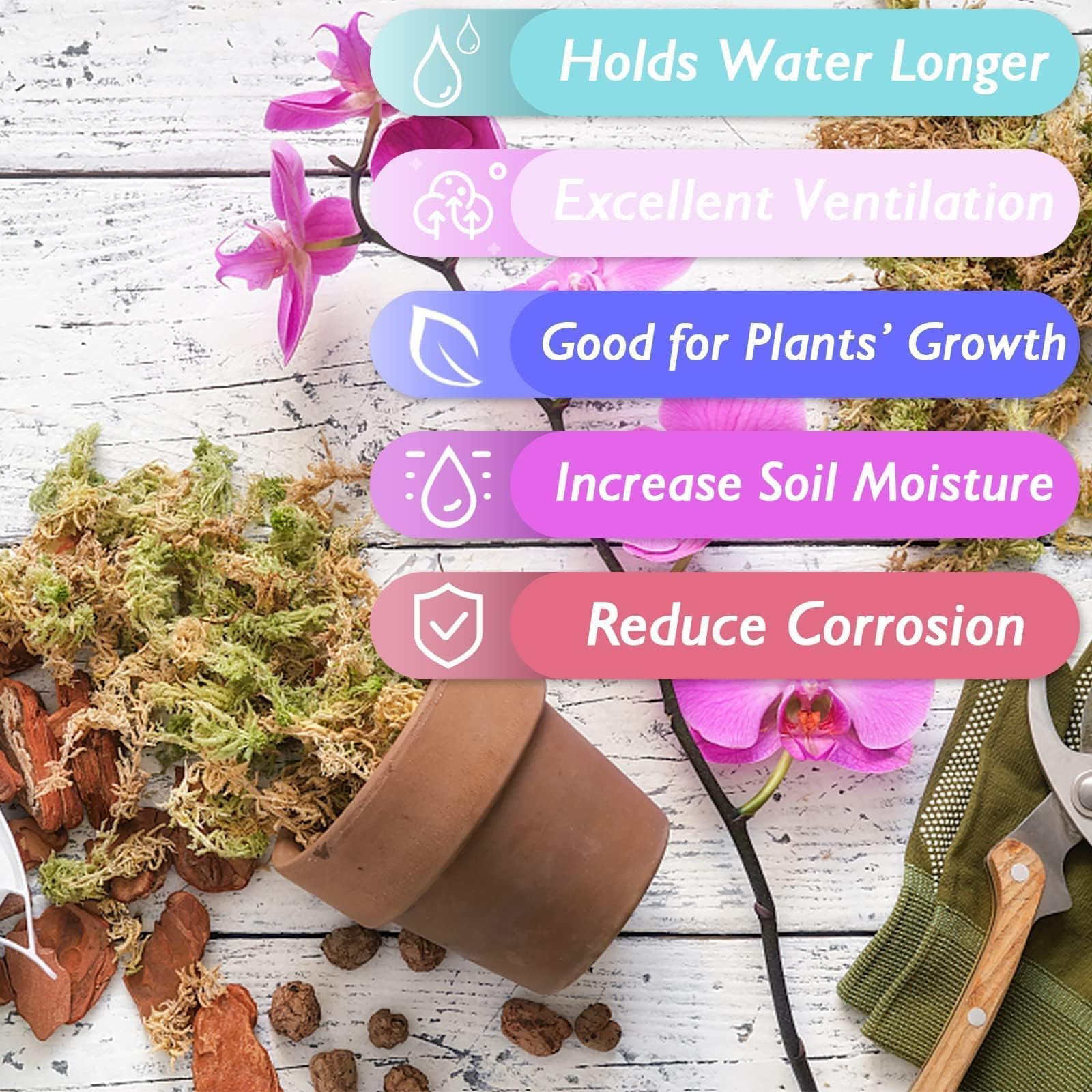 Halatool musgo en maceta de orquídea mejorando raíces