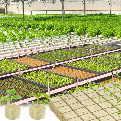 Halatool cubos instalados en sistema hidropónico estilo vivero productivo