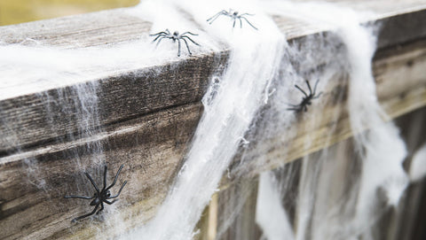 Happy Hippo telaraña en porche creando ambiente de Halloween exterior
