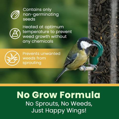 Happy Wings primer plano de semillas negras que resalta aceites naturales y nutrición