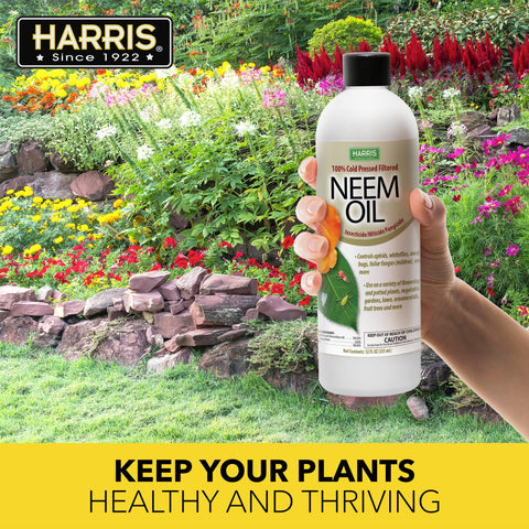 HARRIS mezcla cosmética casera con aceite de neem, nutrición para piel y cabello