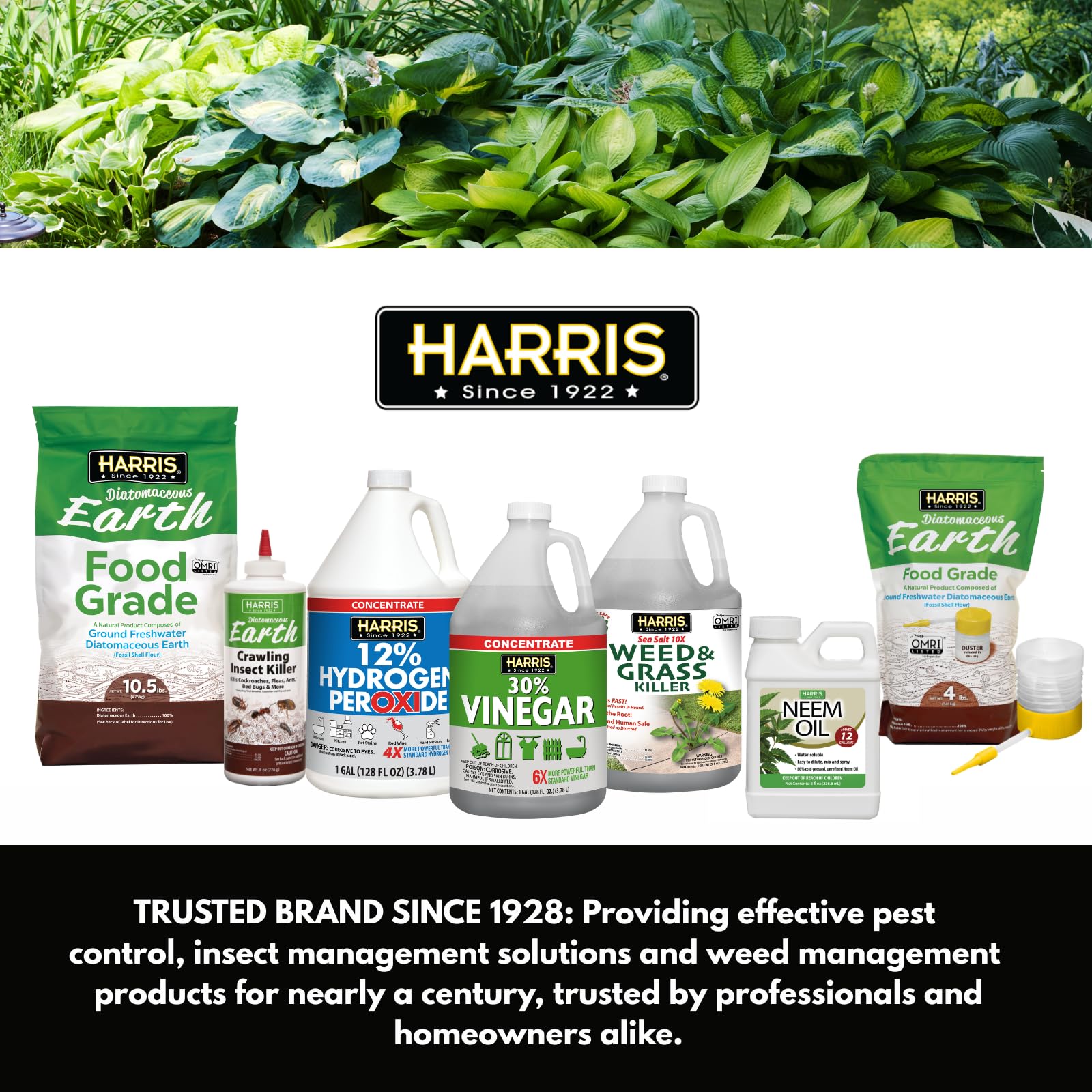 HARRIS comparación de tamaño 2 lb para almacenamiento y uso doméstico