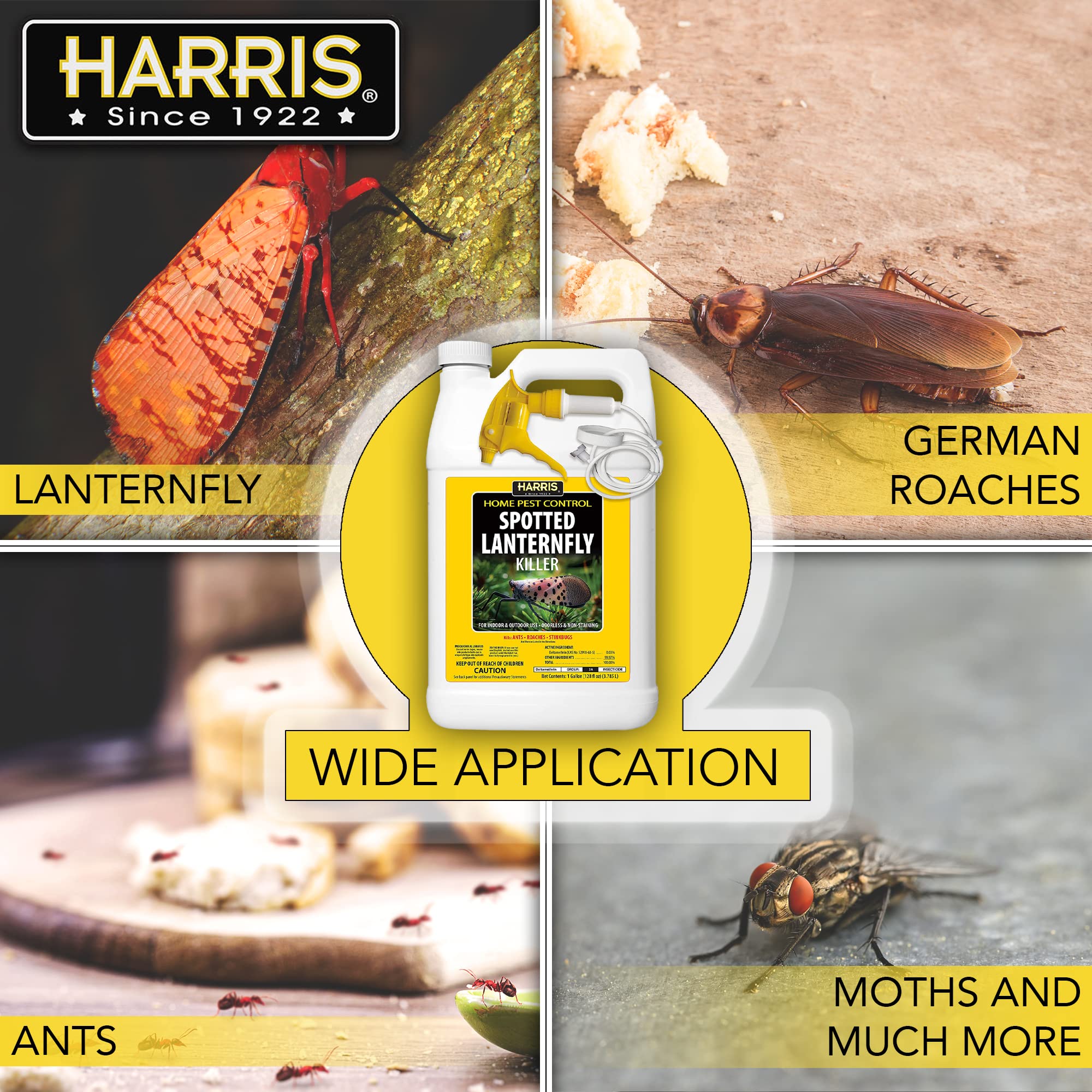HARRIS textura de la fórmula inodora que no mancha superficies