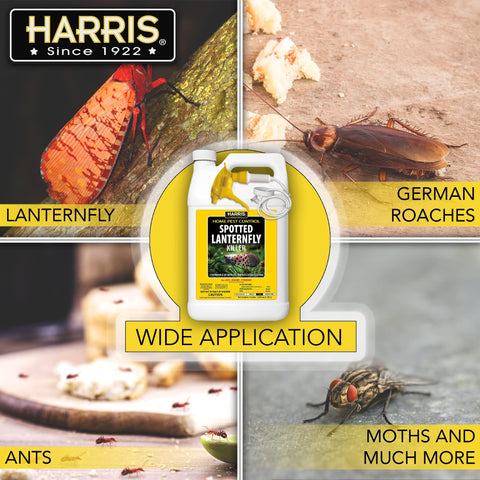 HARRIS textura de la fórmula inodora que no mancha superficies