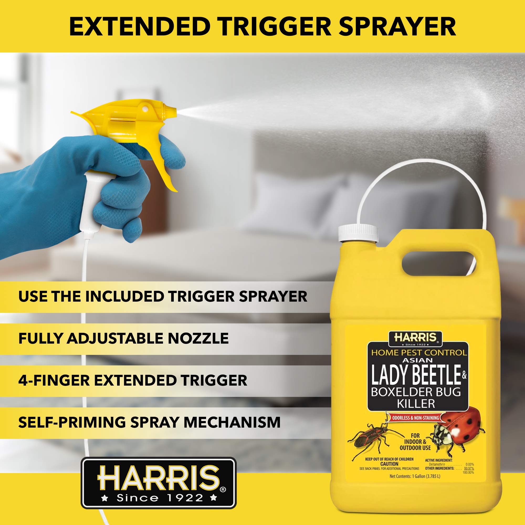 HARRIS primer plano de la solución sin color ni manchas, discrición y limpieza
