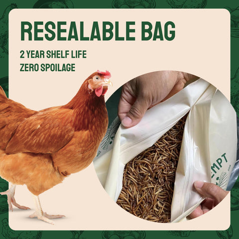 Hatortempt bolsa resellable cerrada conserva frescura por más tiempo