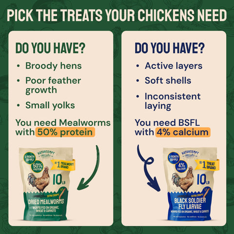 Hatortempt mano sosteniendo mealworm para comparar tamaño práctico