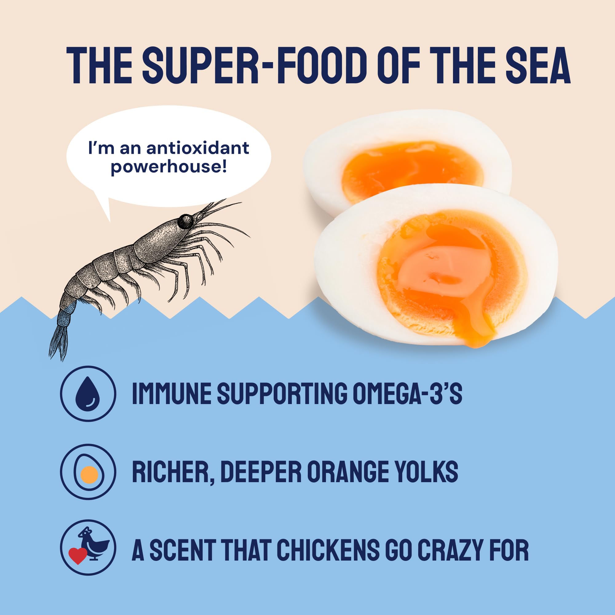 Hatortempt detalle de krill seco, aporta omega-3 y color a las yemas