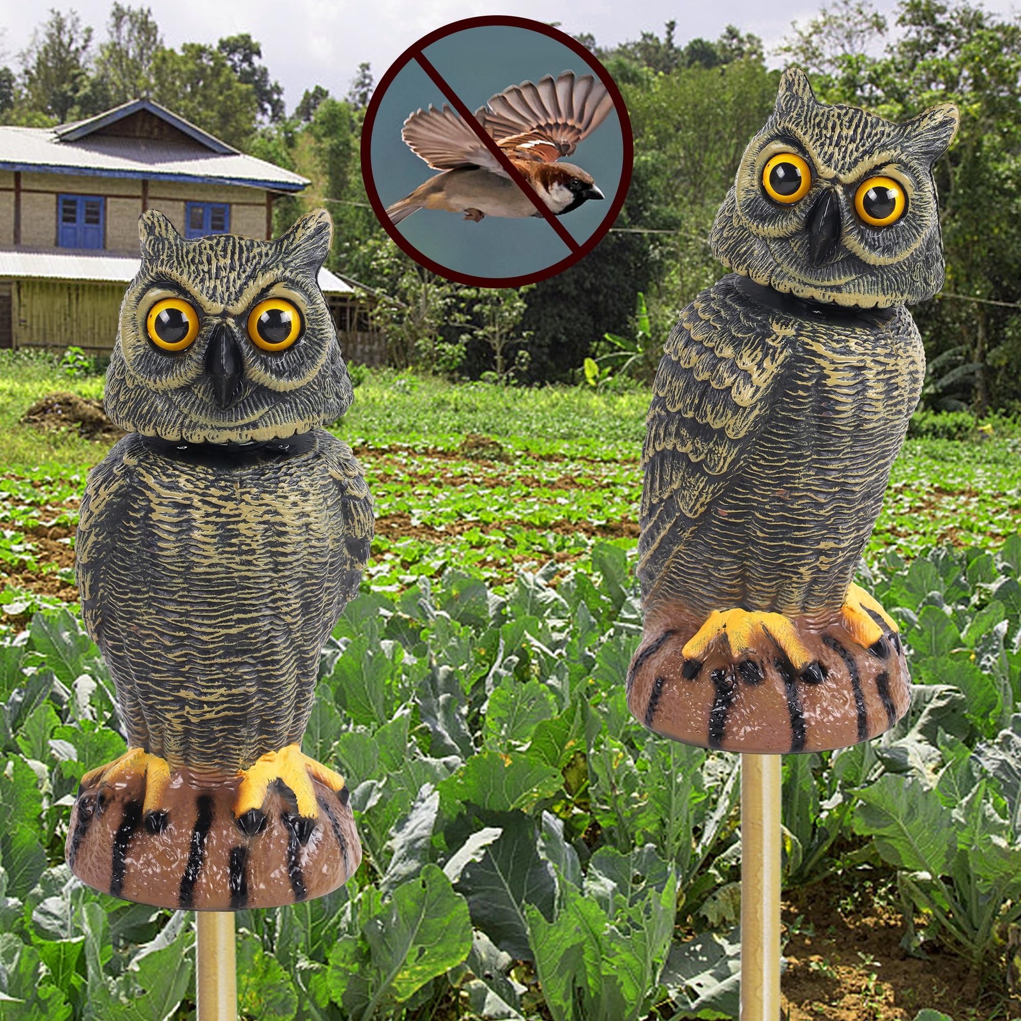 Hausse junto a hileras de cultivo protegiendo huerto doméstico