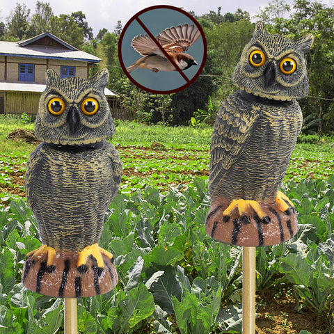 Hausse junto a hileras de cultivo protegiendo huerto doméstico