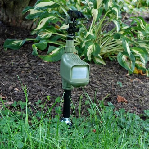 HAVAHART primer plano del sensor infrarrojo que detecta movimiento para mayor precisión