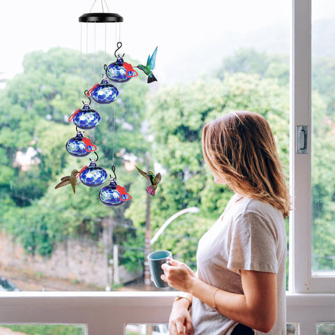 Headak Life colibrí alimentándose en el comedero, observa varios pájaros