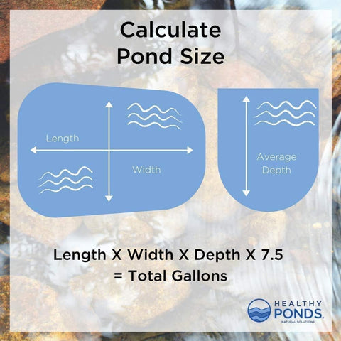 Healthy Ponds esfera en entorno de estanque mostrando agua más clara