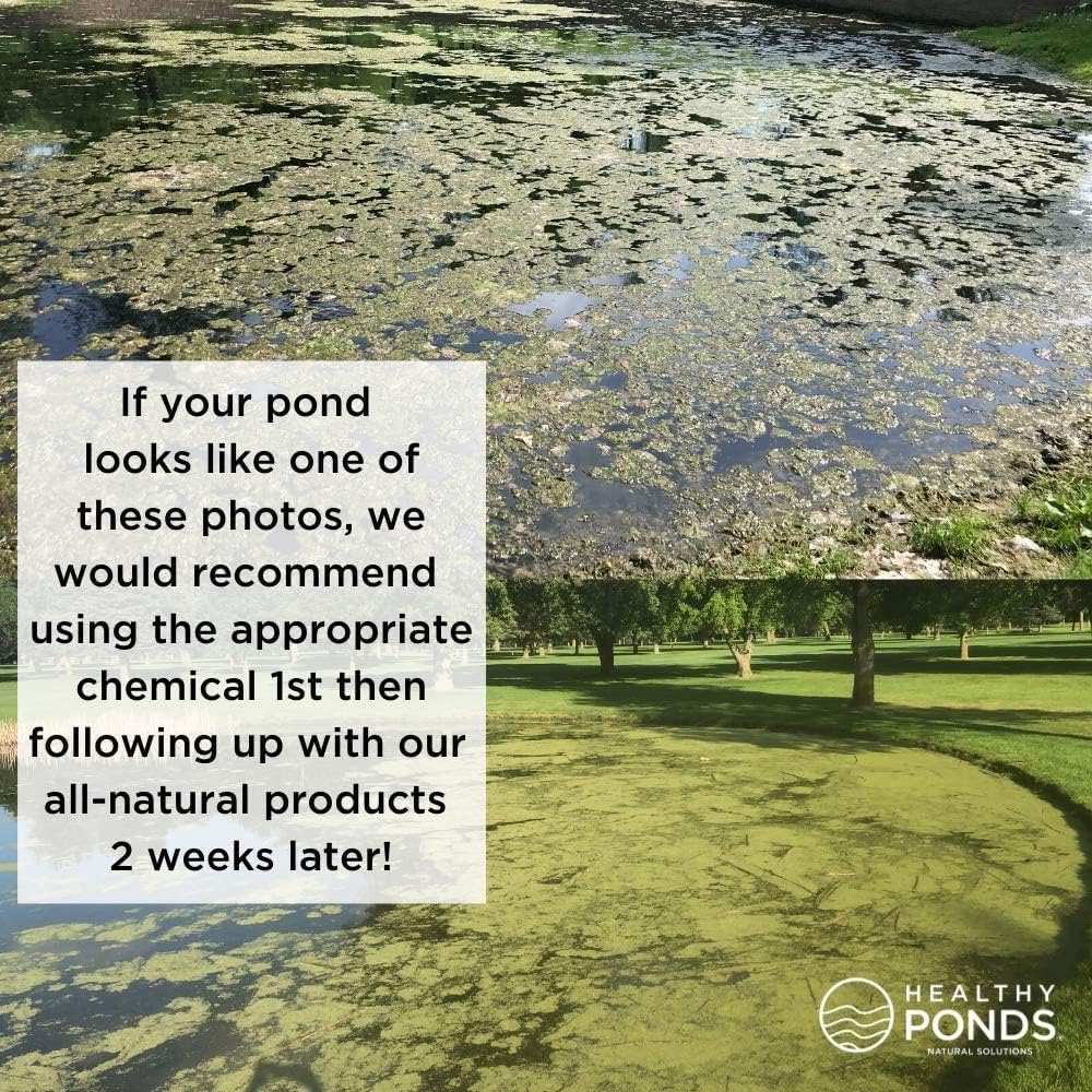 Healthy Ponds comparación de tamaño para visualizar cobertura hasta 500,000 galones