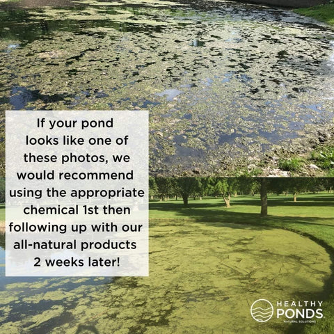 Healthy Ponds comparación de tamaño para visualizar cobertura hasta 500,000 galones