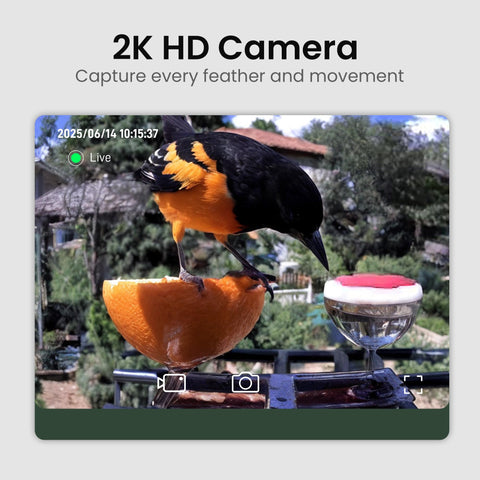 HEAPETS detalle de la cámara 2K que ofrece imagen nítida y transmisión en vivo