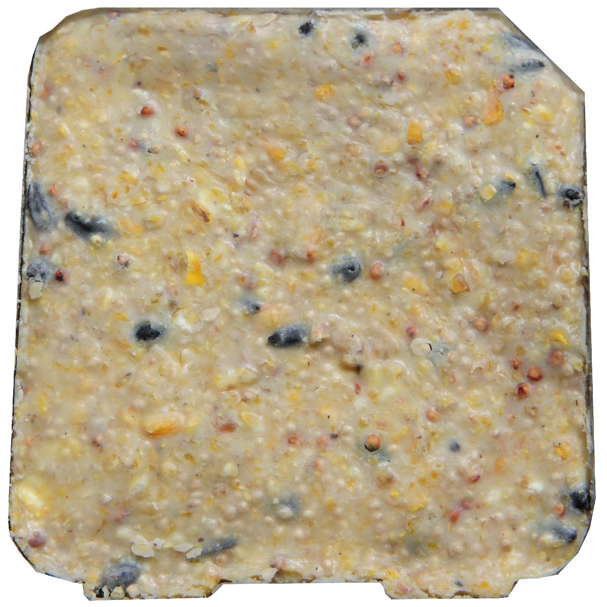 Heath Outdoor suet cake colocado en comedero atrae aves rápidamente