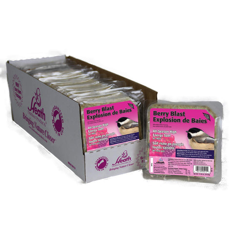 Heath Outdoor Products DD-15 primer plano de la textura del suet con aspecto frutal y beneficio energético