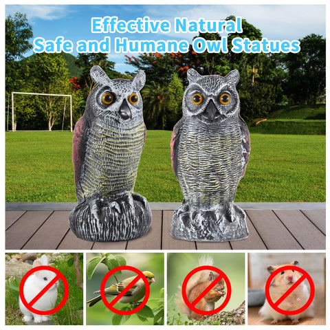 Hedoc detalle de ojos amarillos para disuadir aves eficazmente