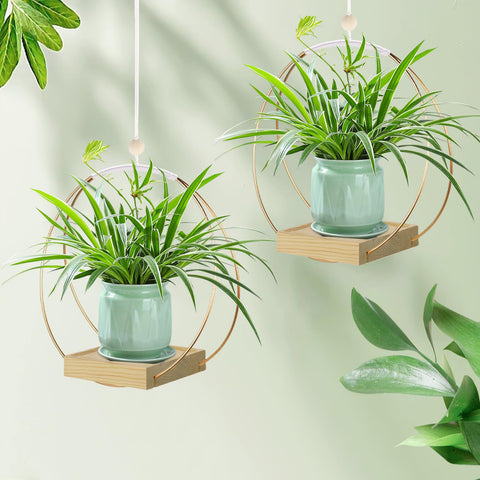 hismocal colgador en ambiente boho mejorando la decoración interior