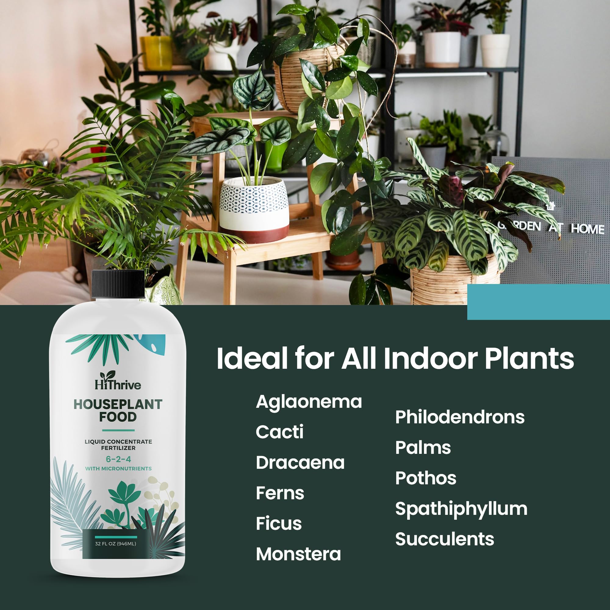 HiThrive pulverizando pothos para estimular crecimiento y vigor