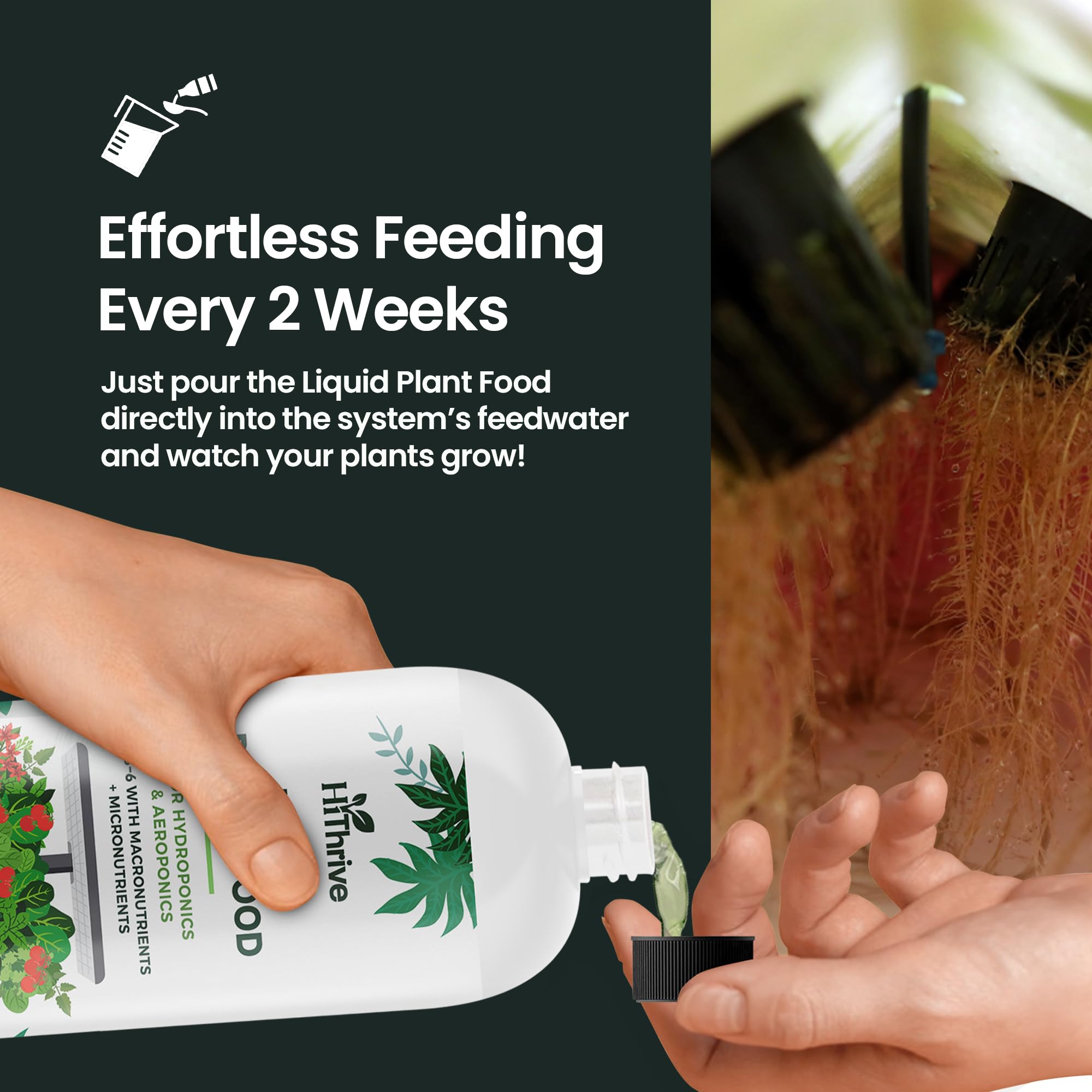 HiThrive planta sana cultivada con fertilizante mayor vigor y color