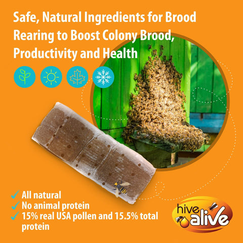 Hive Alive pastilla colocada sobre marcos para fácil acceso de las abejas