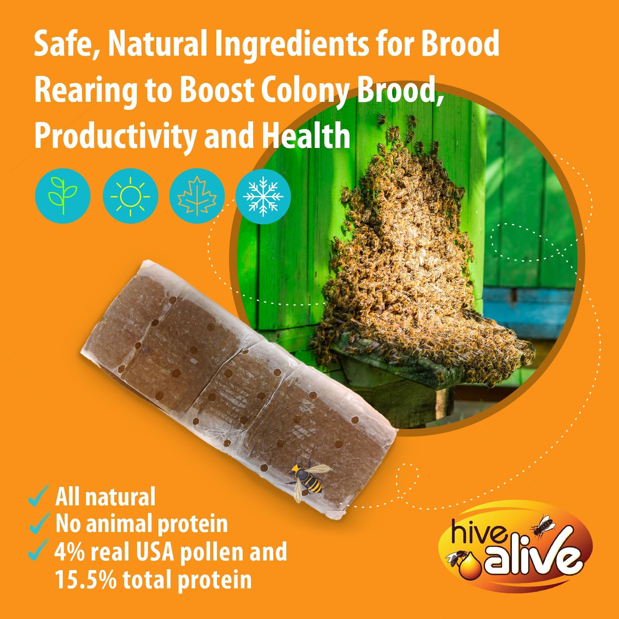 HIVE ALIVE colocación de una pastilla dentro de la colmena para alimentación rápida