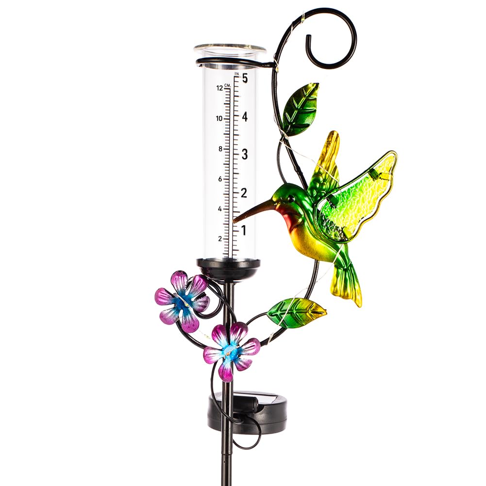 HOBYLUBY colibrí frontal mostrando diseño decorativo y medición